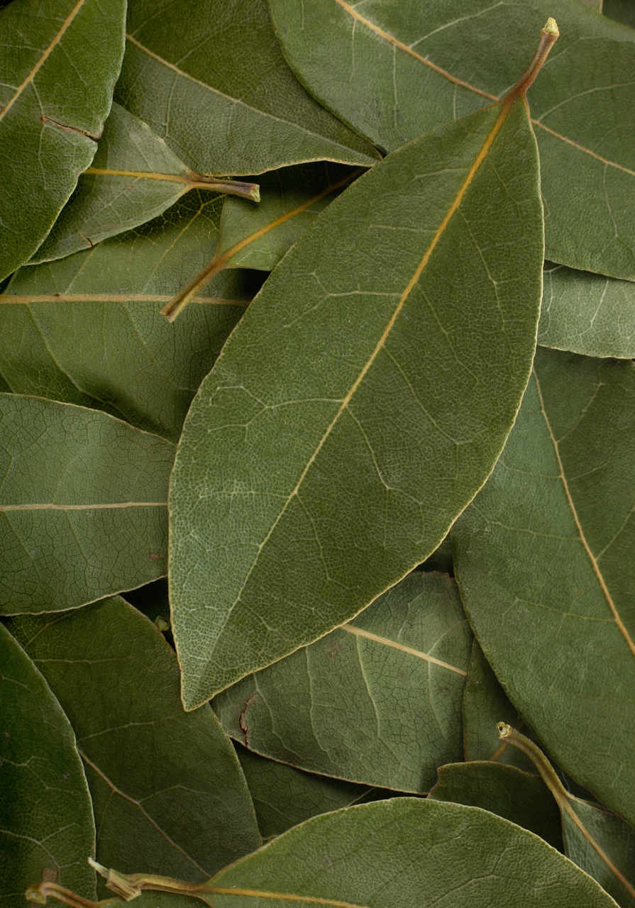 Bay Leaves: Essential or Overrated?