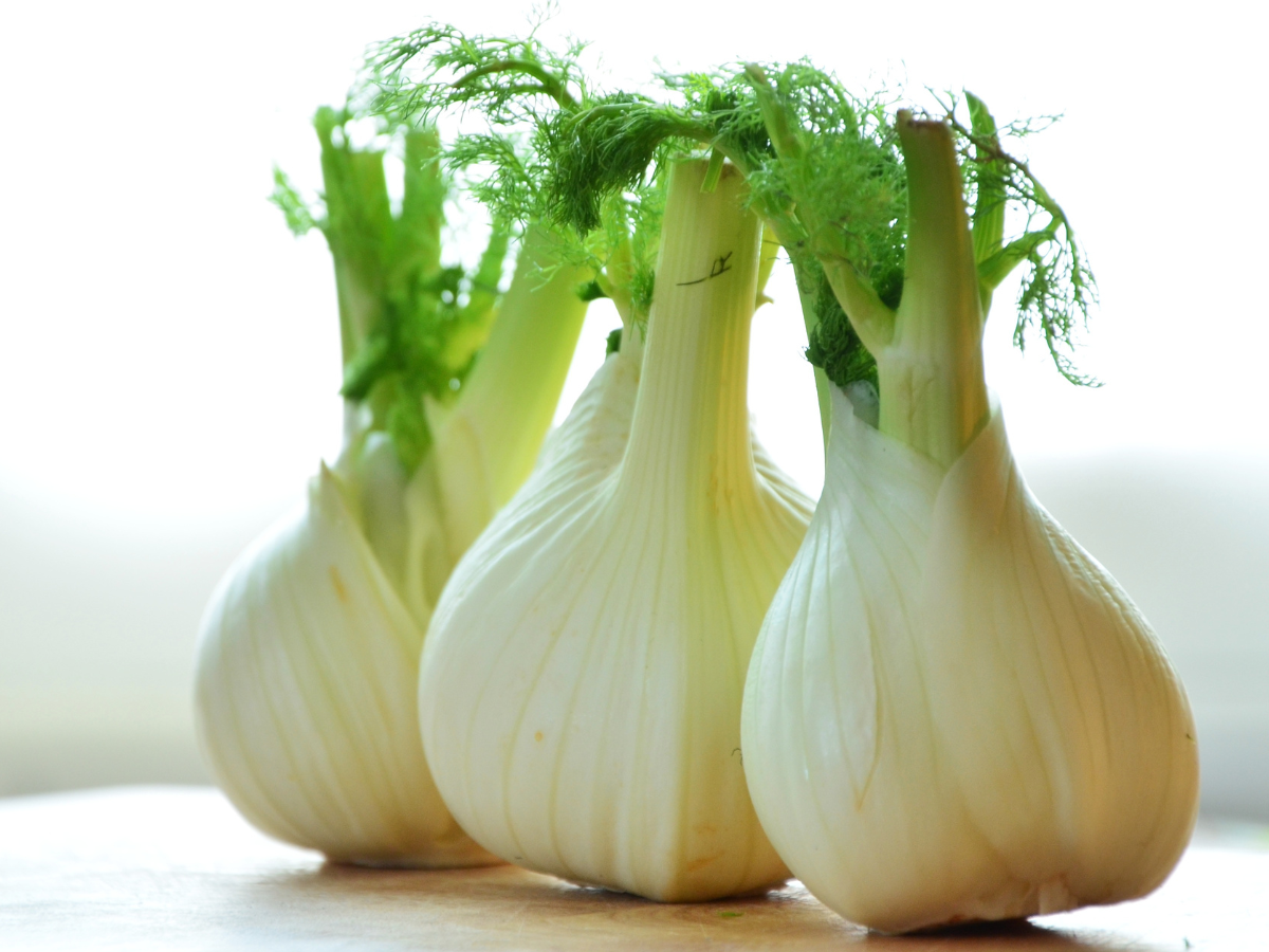 Fennel: A Nutrient-Rich, Zero-Waste Vegetable with Versatile Uses