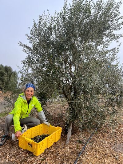 From Literature to Luretík: How Elise Magistro Transformed Her Passion for Italian Culture into Award-Winning Olive Oil