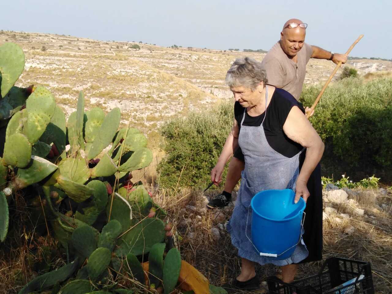 From War Rooms to Olive Groves: How a U.S. Intelligence Veteran Found Peace as a ‘Poor Farmer’ in Sicily