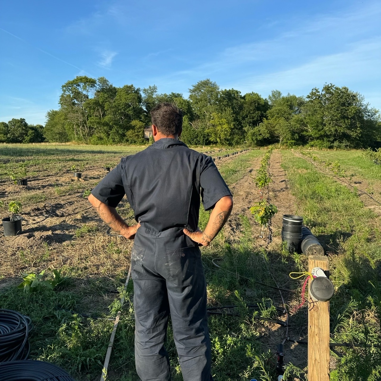 How Old Forks Farm Became a Sanctuary of Soil, Family, and Community