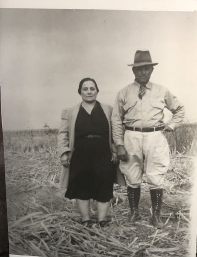 Great-grandparents-Margherita-and-Joseph-in-sugarcane-fields-.jpg
